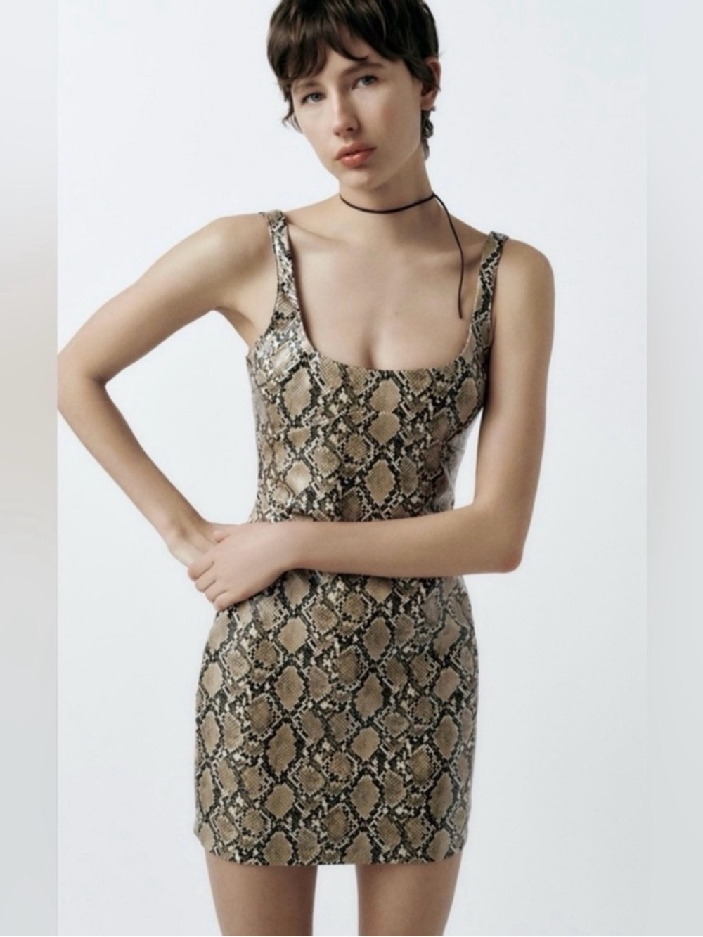 Zara Tan Snake-Print Bustier Style Mini Dress